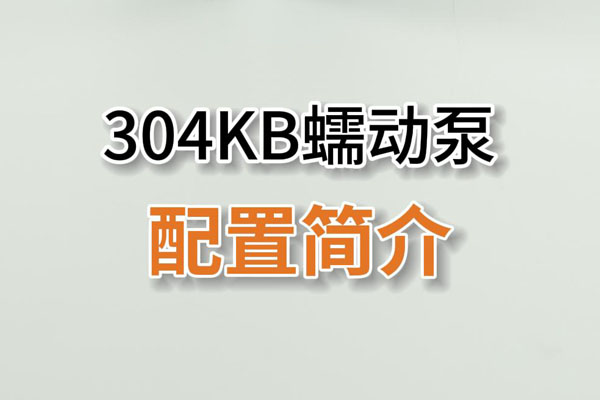 304KB蠕動泵產(chǎn)品配置簡介