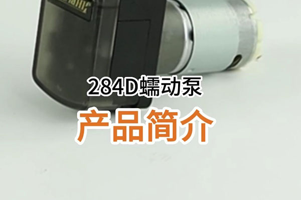 284D蠕動泵產(chǎn)品簡介